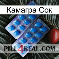 Камагра Сок viagra2